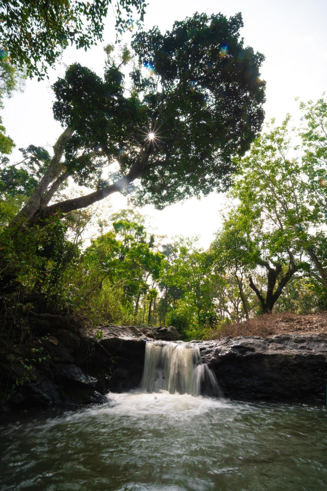 Kingmaker'S Plantation With River Stream Βίλα Madikeri Εξωτερικό φωτογραφία