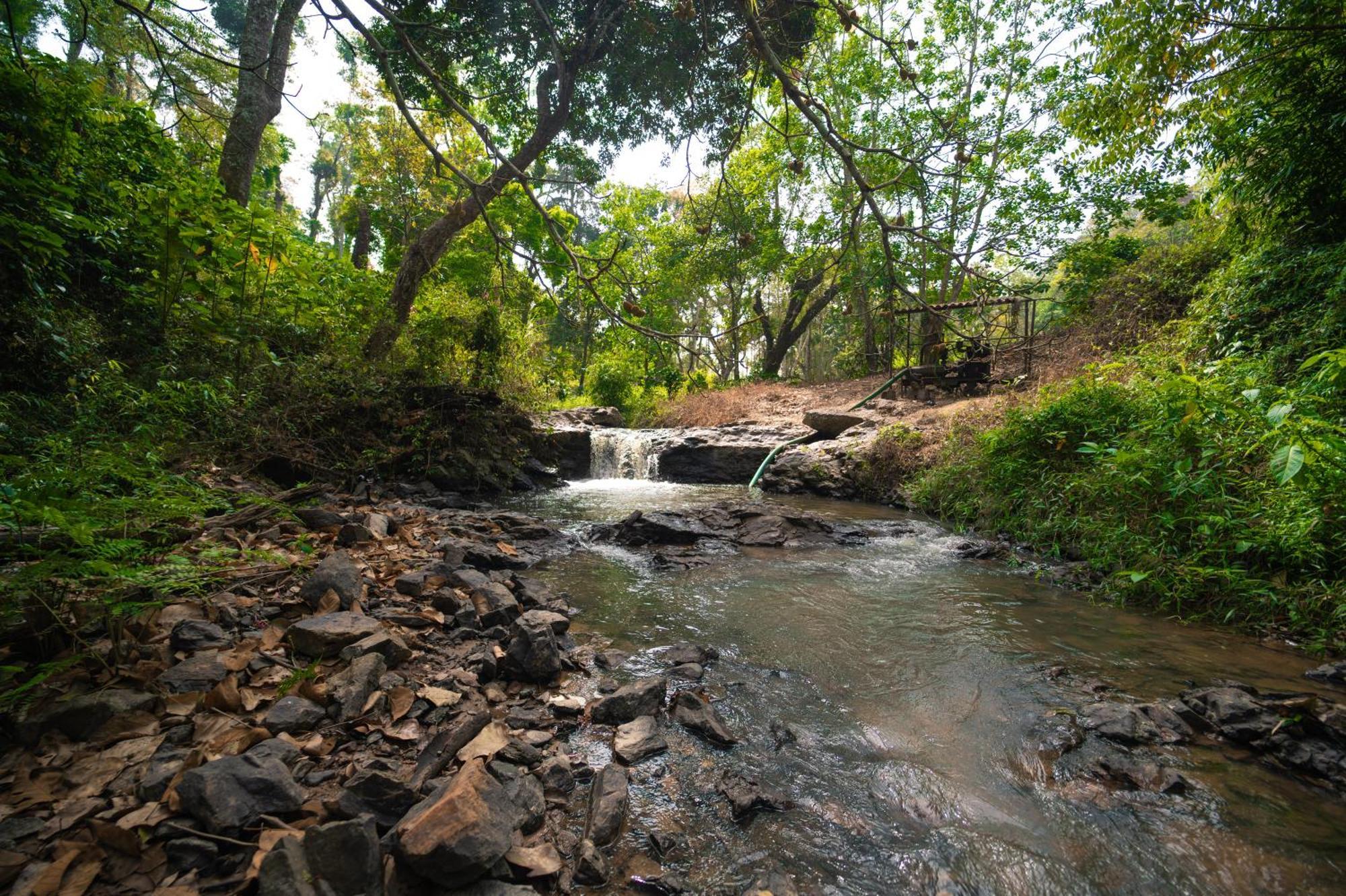 Kingmaker'S Plantation With River Stream Βίλα Madikeri Εξωτερικό φωτογραφία