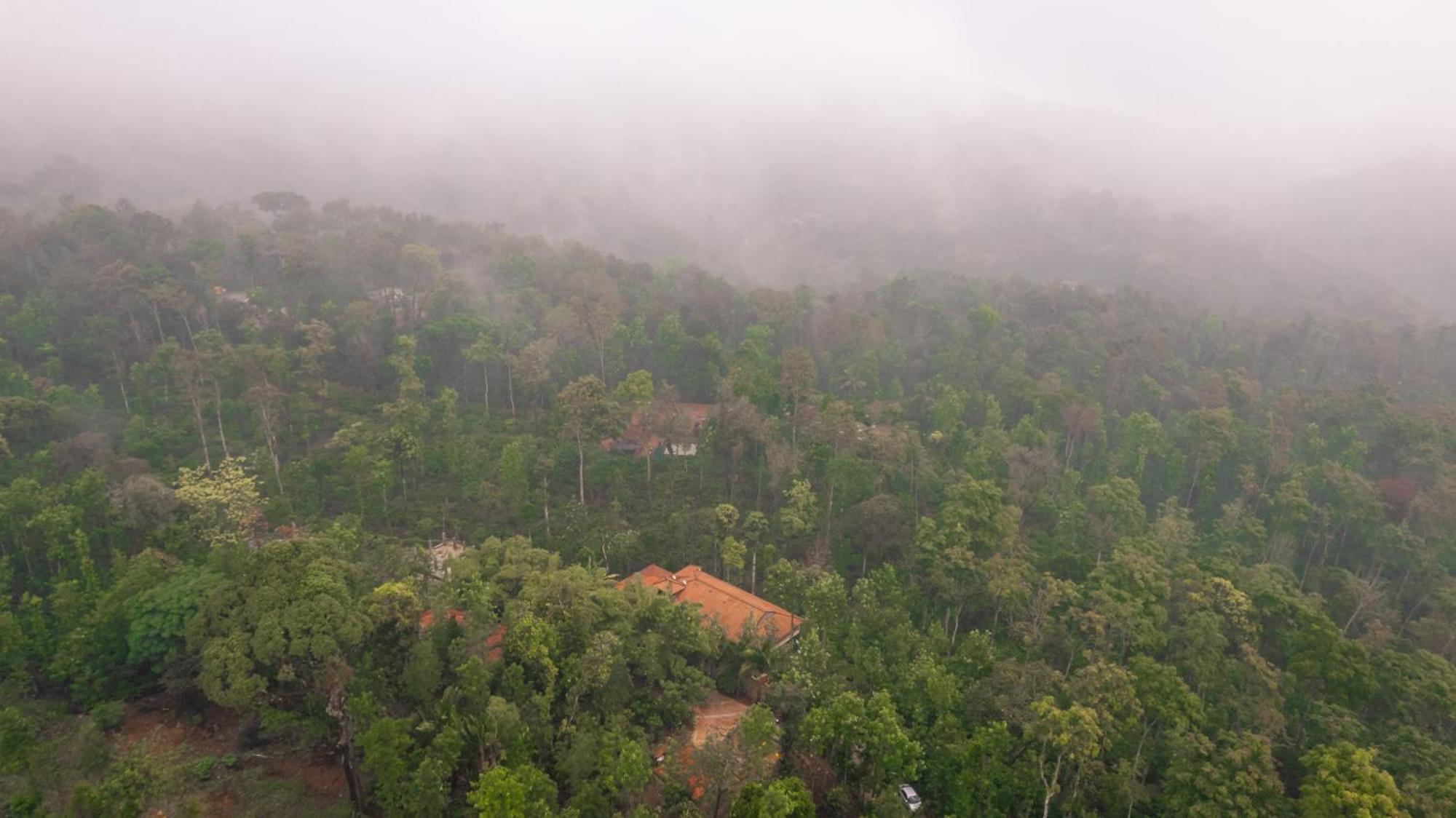 Kingmaker'S Plantation With River Stream Βίλα Madikeri Εξωτερικό φωτογραφία